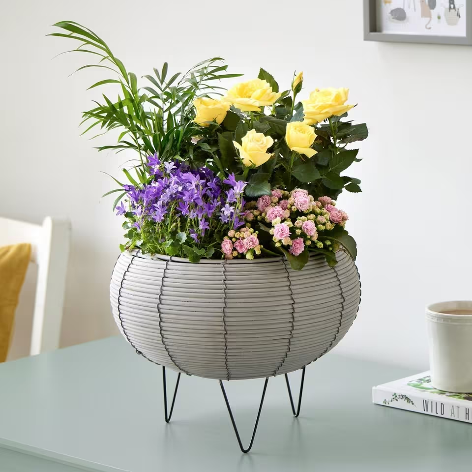 Beautiful Indoor Basket
